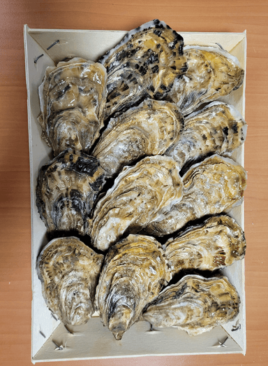 Austrės Navare SARL, Fin de Normandie 2, 1 dėž., 12 vnt