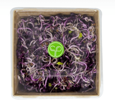 Purple radish sprouts, 120 g