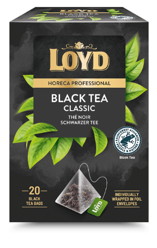 Black tea drink LOYD HORECA black piramyd, 20 x 2g