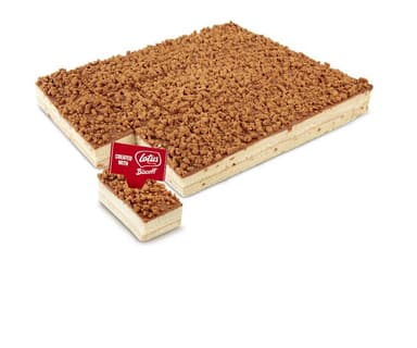 Frozen cookie cake LOTUS BISCOFF with cream, sliced (21x100g), 2.1 kg