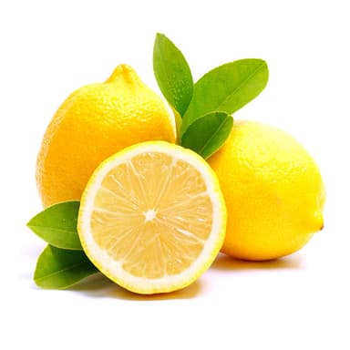 Lemons, I cat,  size 3-4, kg