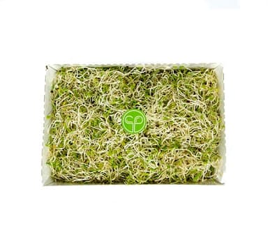 Lucerne Sprouts, 100 g