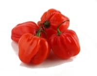 Hot pepper HABANERO,red, kg