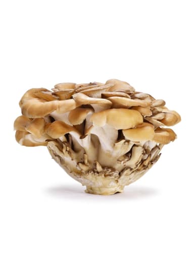Mushrooms hen of the woods, 150 g