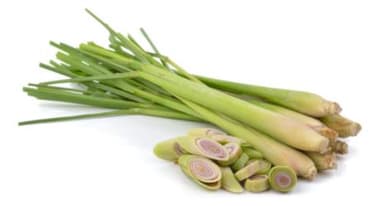 Lemon grass, kg