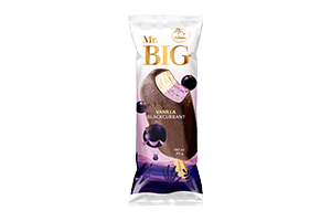 Vanilla/blackcurrant ice cream with chocolate glaze MR.90g