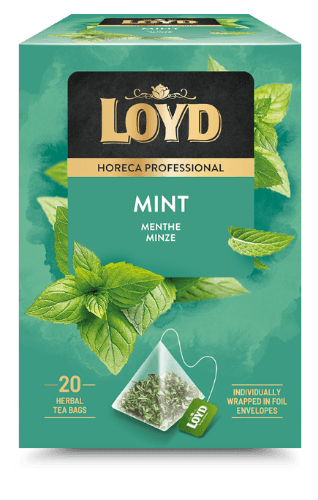 Herbal tea  drink LOYD HORECA mint pyramid, 20 x 2g