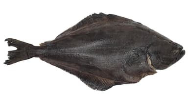 Atlantinis paltusas, skrostas, su galva, kg