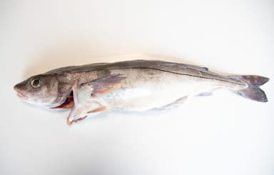 Haddock with head, kg