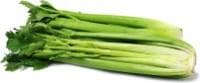 Celery stems, category I, ~450 g, unit