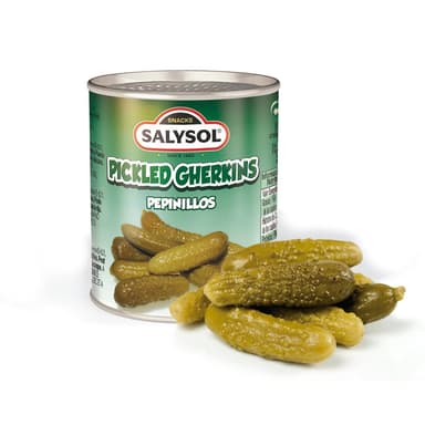 Marinuoti agurkai SALYSOL,120g/50g
