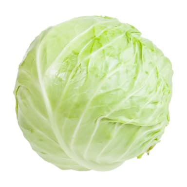 Baltagūžiai kopūstai