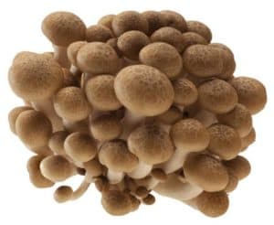 Clamshell brown, 150 g