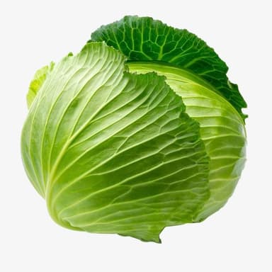 Cabbage, fresh, category I, kg