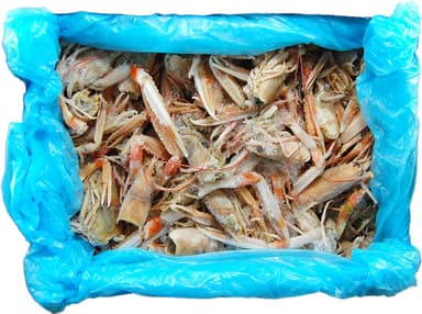 Norway lobster shells with forceps, uncooked, 5 kg