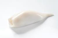 Squid tubes U5, 30%, 1/0,7 kg