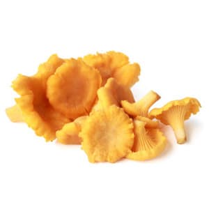 Frozen IQF chanterelles, not blanched, 1 kg