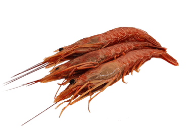 Thawed pleoticcus muelleri prawns, head on, shell on,10/20 kg