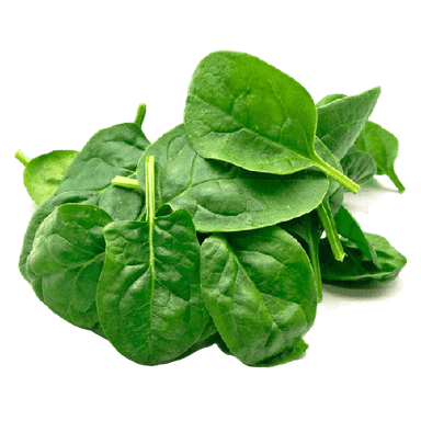 Baby Spinach