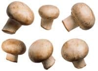 Champignons brown, category I, kg