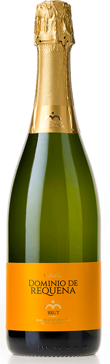 Putojantis sausas vynas DOMINIO DE REQUENA BRUT CAVA, 11.5 %