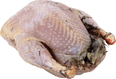 Šaldyta kurapka 250+ g, Anglija