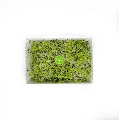 Leek sprouts, 80 g