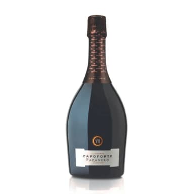 Putojantis raudonas pusiau sausas vynas CAPOFORTE PAPANERO CUVEE, 11.5%