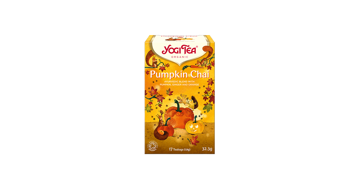 Ayurvedic spiced tea with pumpkin, organic