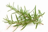 Rosemary, kg