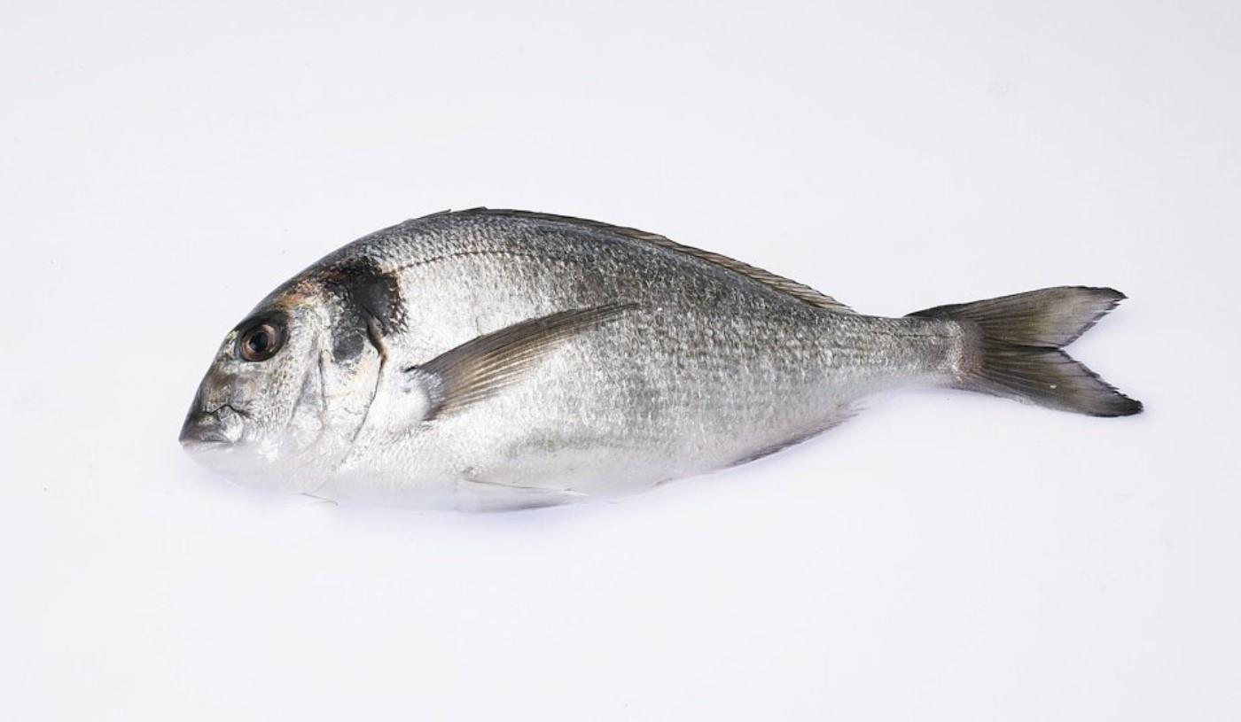 Farmed Seabream 1000-1200