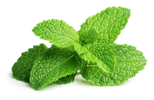 Mint, prepackaged, 15 g