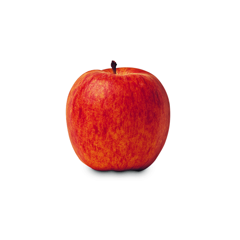 Apples ROYAL GALA, I class, kg