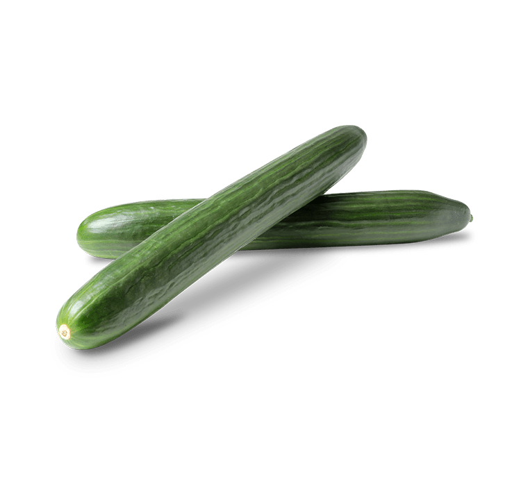 Organic long cucumbers, LT-EKO-001, kg