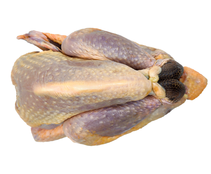 Frozen Guinea fowl whole, kg France