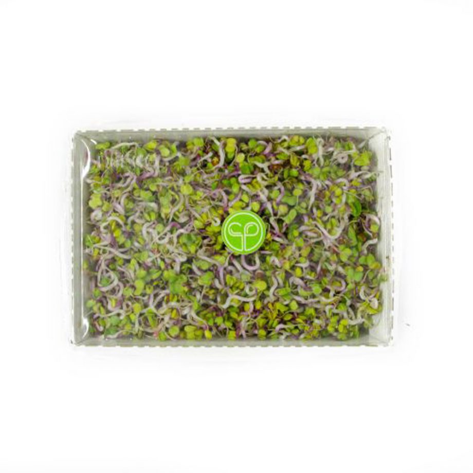 Pink radish sprouts, 120 g