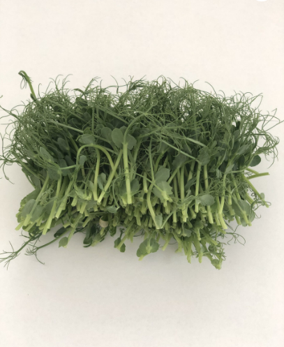 Pea shoots, plucked, 100 g