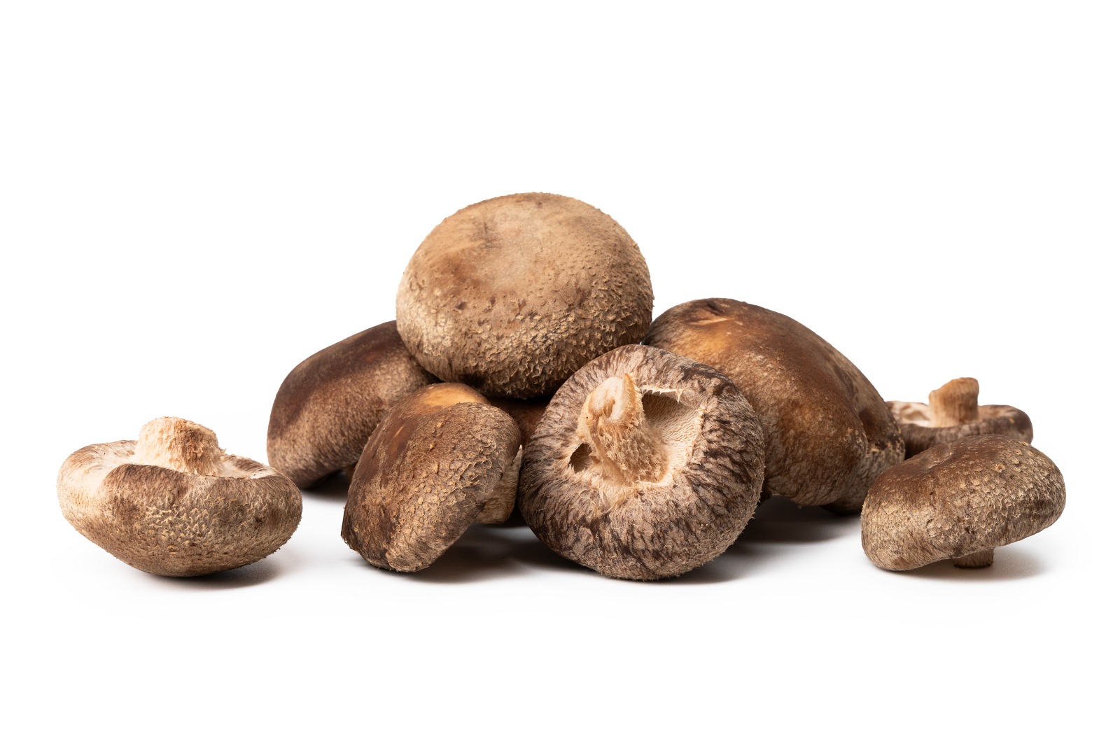 Shiitake MYCOS ROYALE, I cat, kg