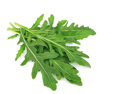 Arugula Salad 100 g