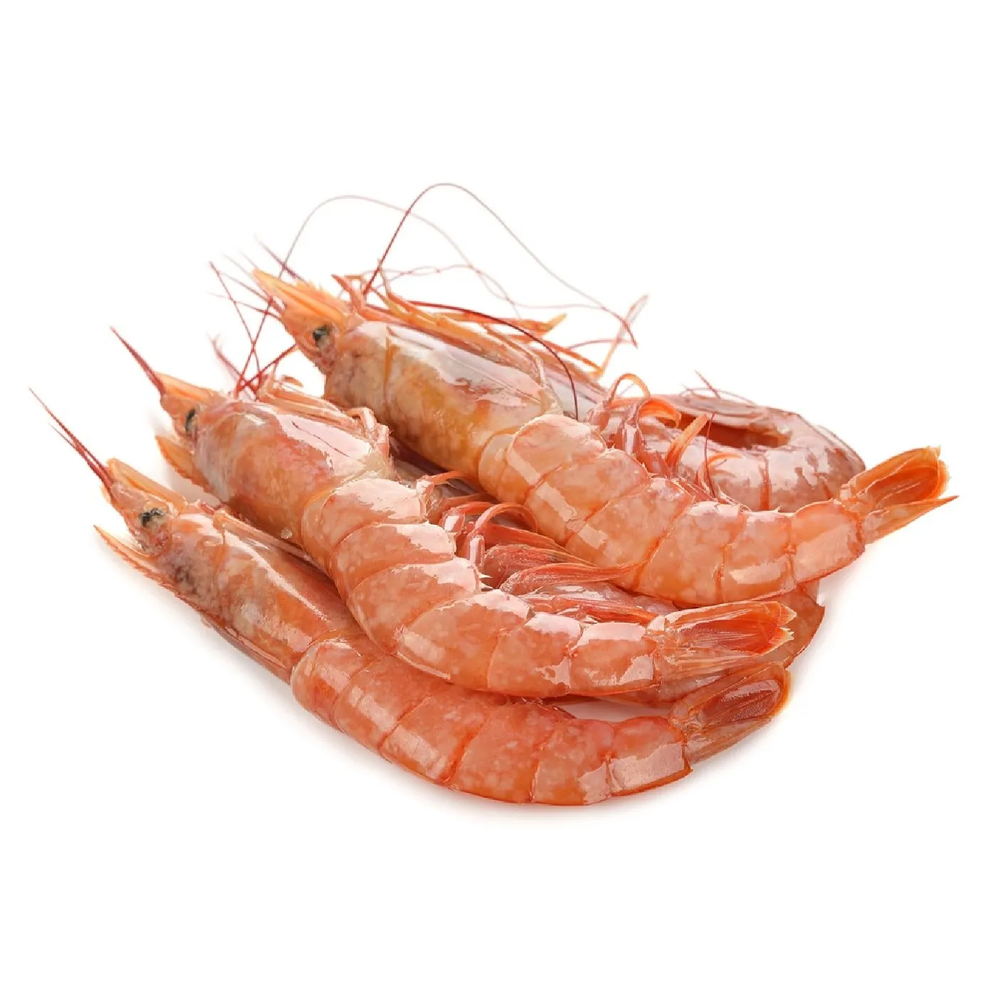 Frozen Argentinian shrimps L1 8/16 with heads, in shell, 2 kg