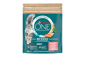 Katėm sausas su lašiša ir ryžiais ONE ADULT, 800g