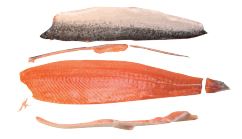 Frozen salmon fillets E-trim, skin off, vacuum packing, ~1,4-2,2kg