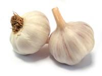 Fresh garlics, kg