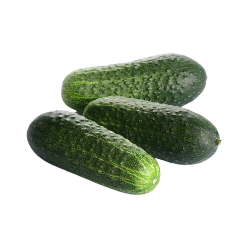 Cucumbers, short variety, Grade II.