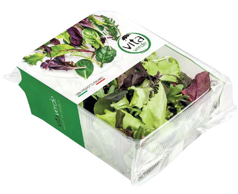 Lettuce mix MISTICANZA, 100 g