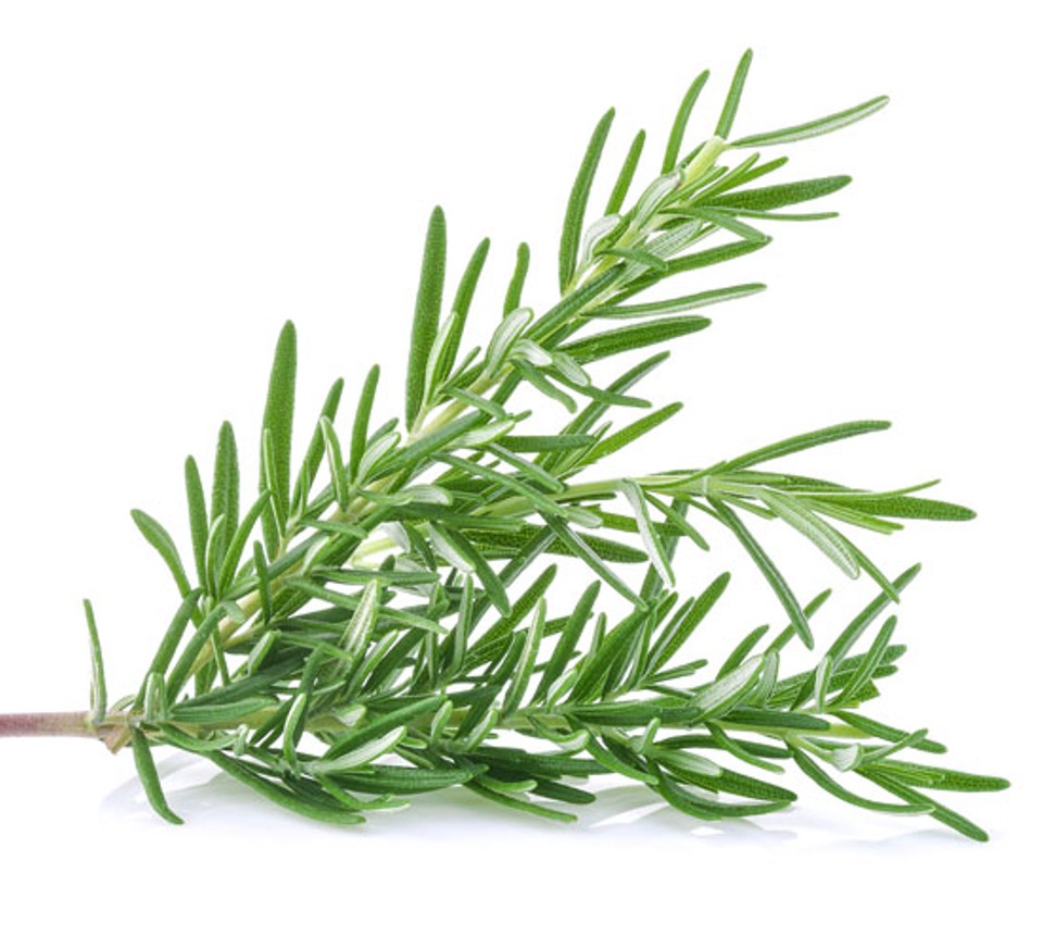 Rosemary, prepackaged, 15 g