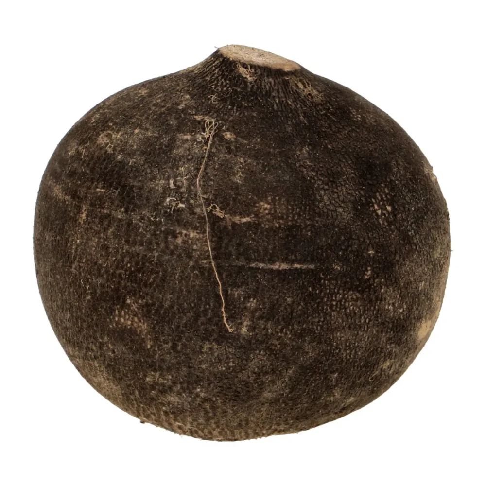 Ridikai, juodieji, II kl.