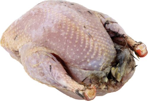 Frozen partridge 250+ g, UK