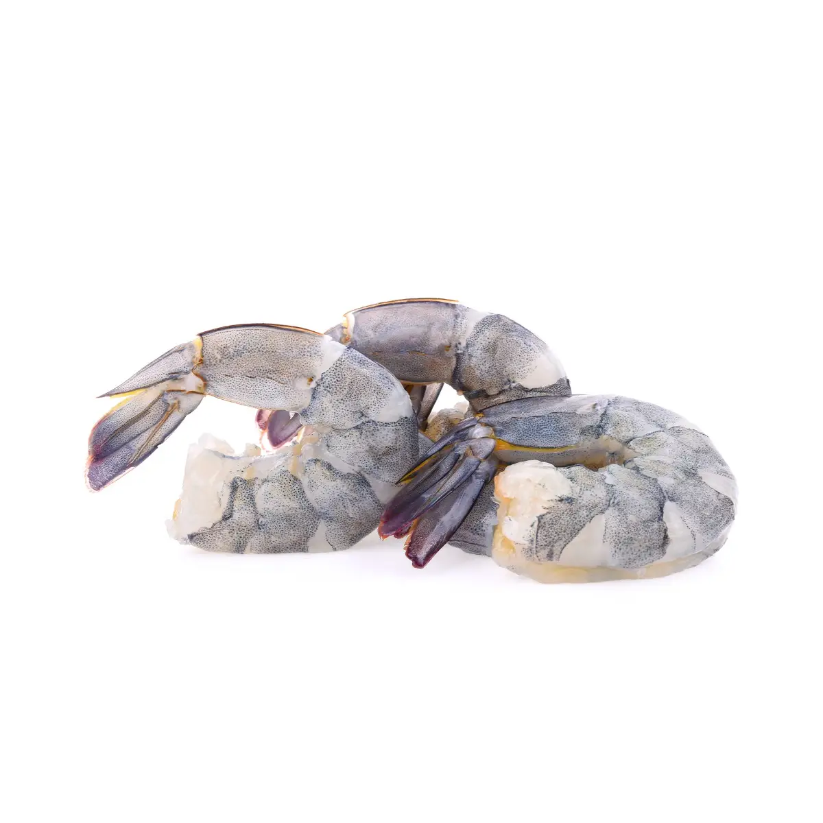 Black tiger shrimps, peeled, deveined, raw, 13/15, 20%, 1kg