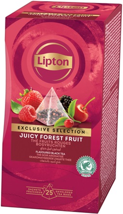 Black tea LIPTON Pyramid English Forest Fruit, 25 x 1,7 g